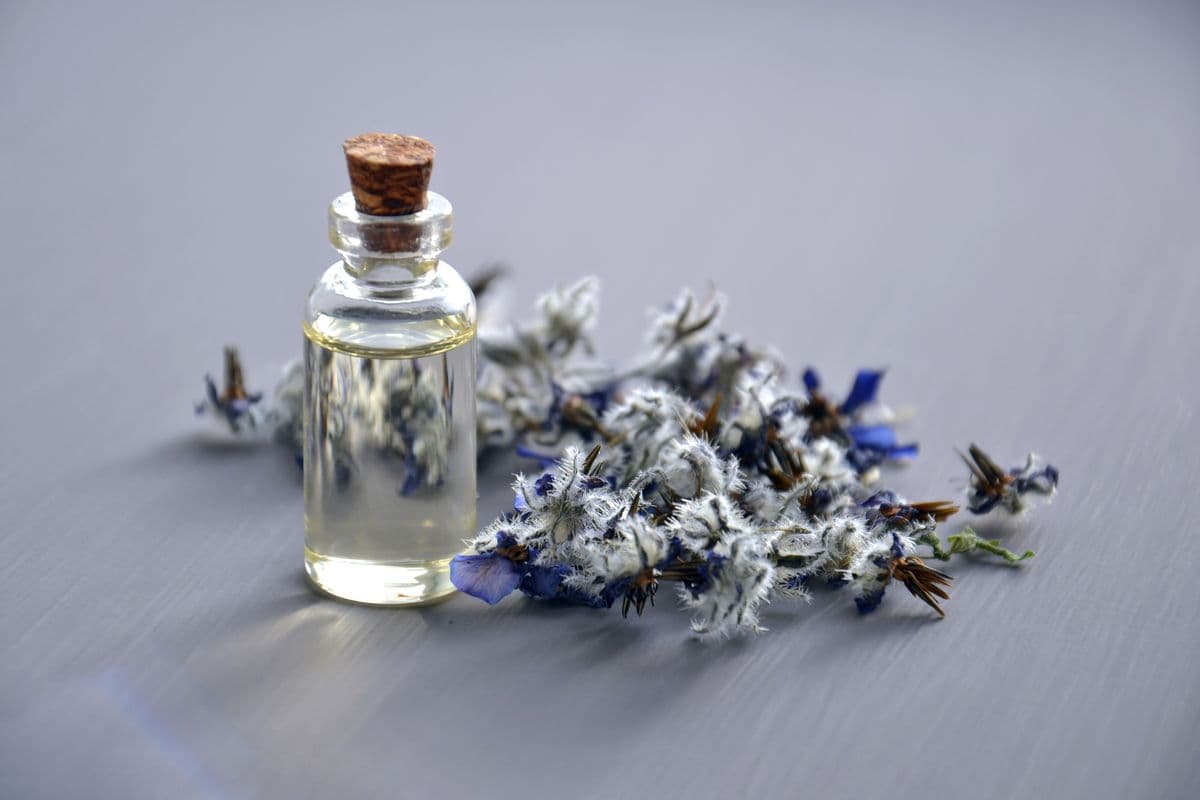 Glass perfume bottle lit as a studio product shot